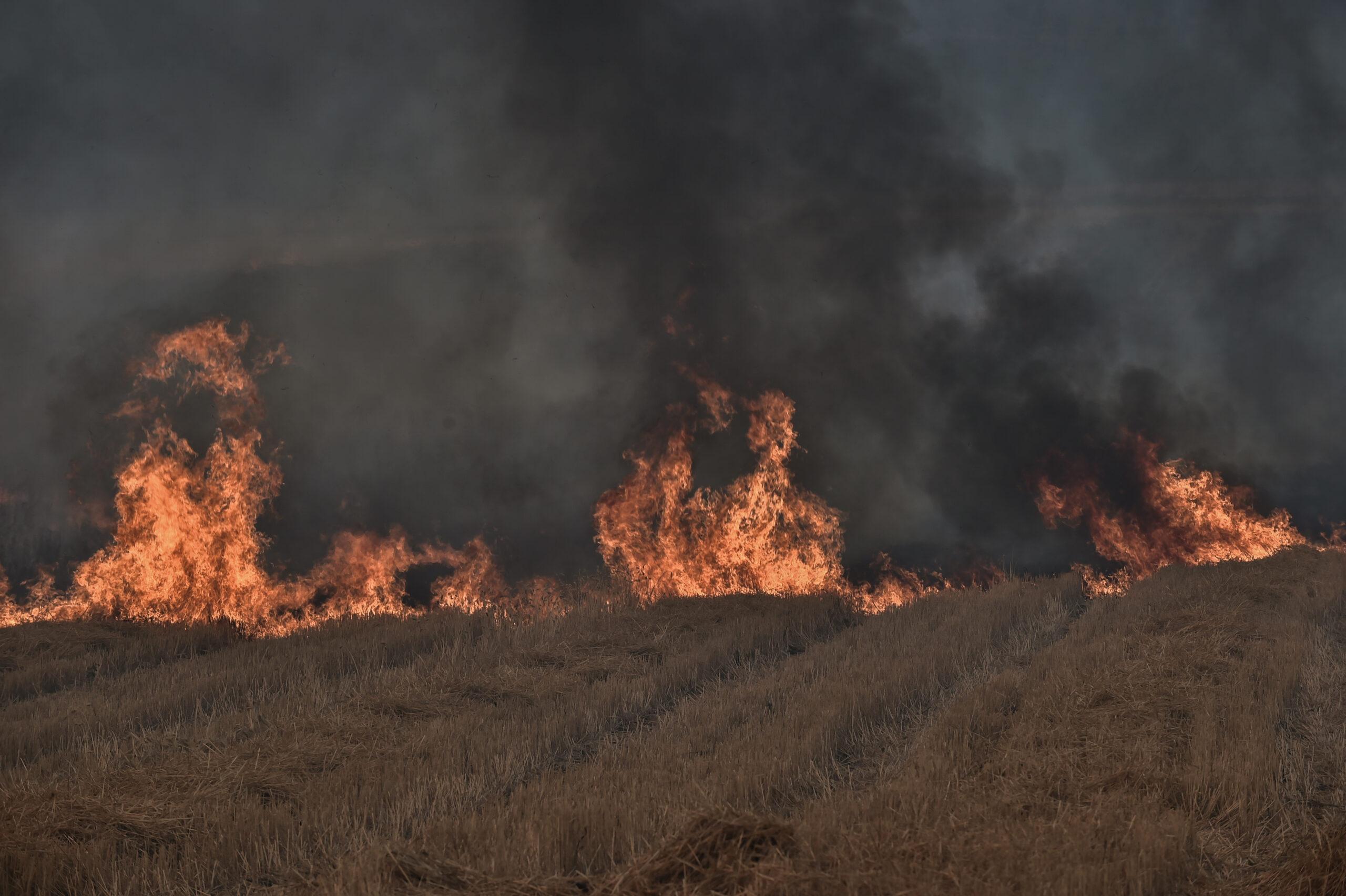 Υπό μερικό έλεγχο η φωτιά στη Σάμο