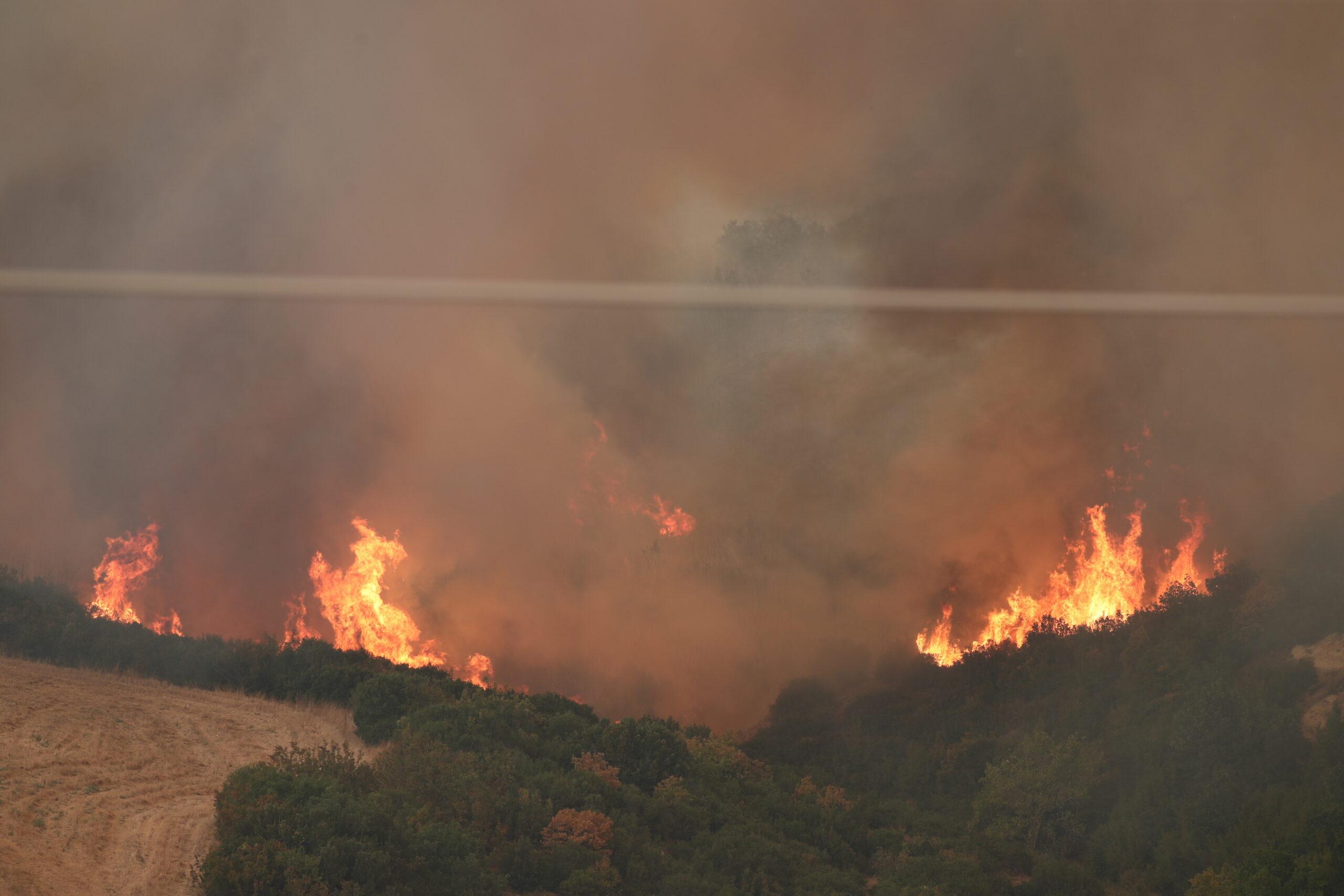 Φωτιά στον Έβρο: Μετανάστης εντοπίστηκε απανθρακωμένος μέσα σε πύρινη κόλαση