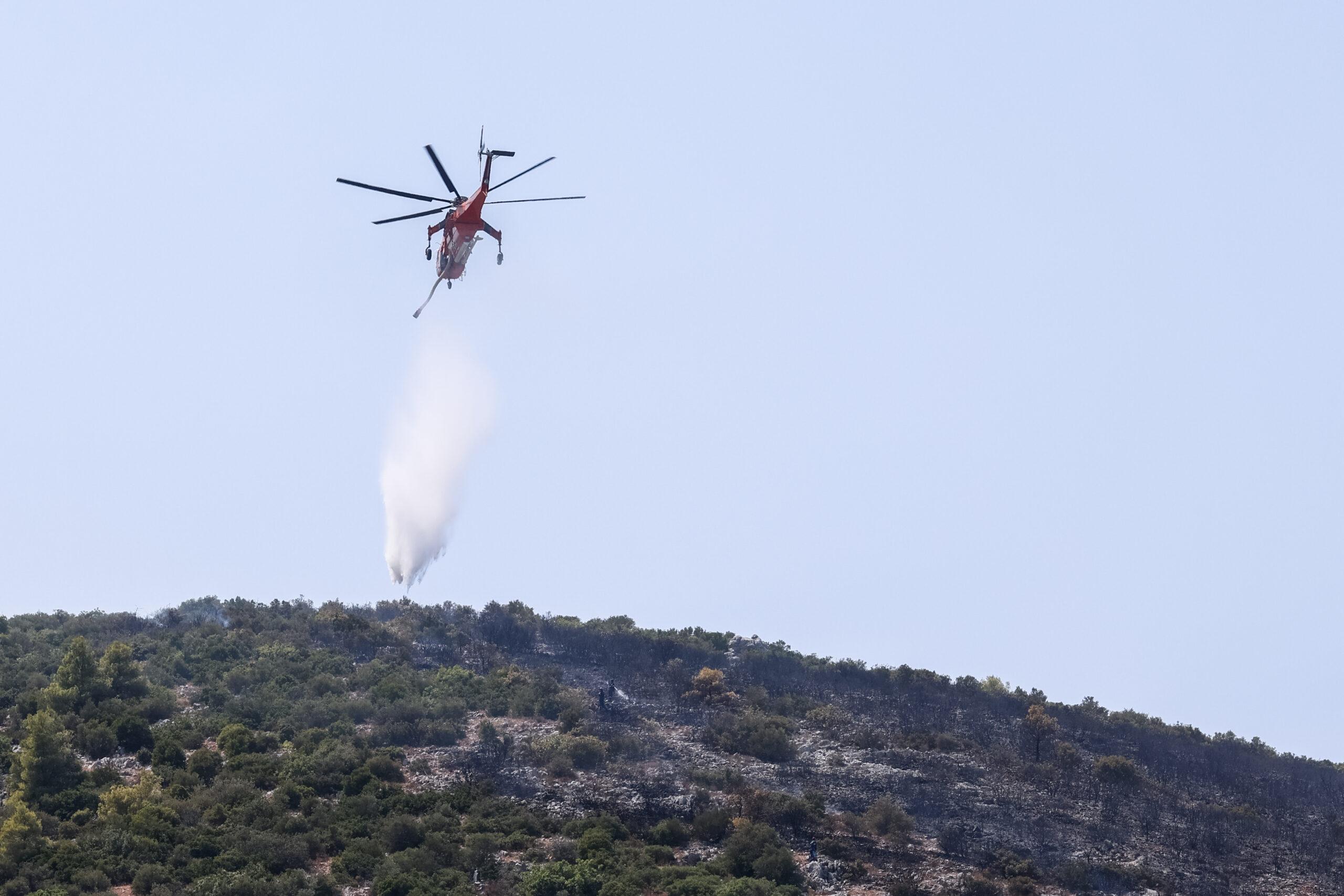 Δικηγόρος κάτοικος Αυλώνας ο ένας από τους συλληφθέντες για εμπρησμό – Βρέθηκαν στοιχεία στο αυτοκίνητό του