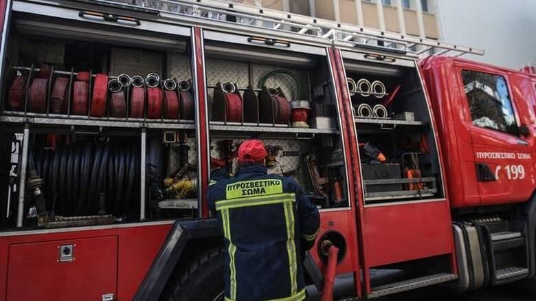 Λάρισα: Φωτιά στο Ναρθάκι – Επιχειρούν επίγεια και εναέρια μέσα