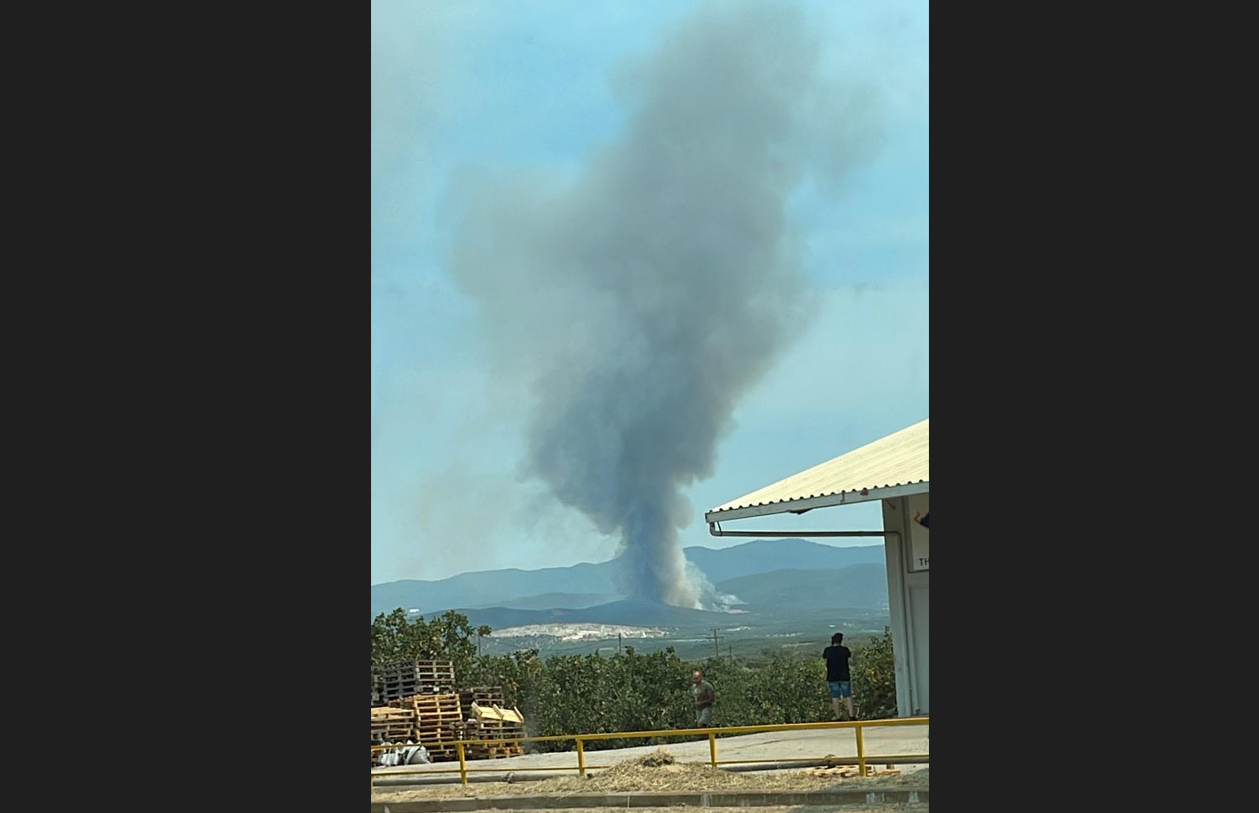 Φωτιά στη Χαλκιδική: Ενισχύονται οι δυνάμεις κατάσβεσης – Σηκώθηκαν ελικόπτερα