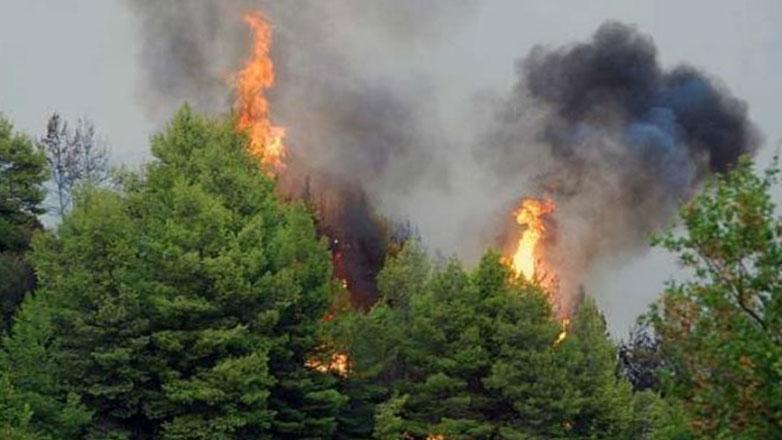 Μυτιλήνη: Συνελήφθη μια γυναίκα για την πρόκληση της φωτιάς στην Ερεσό