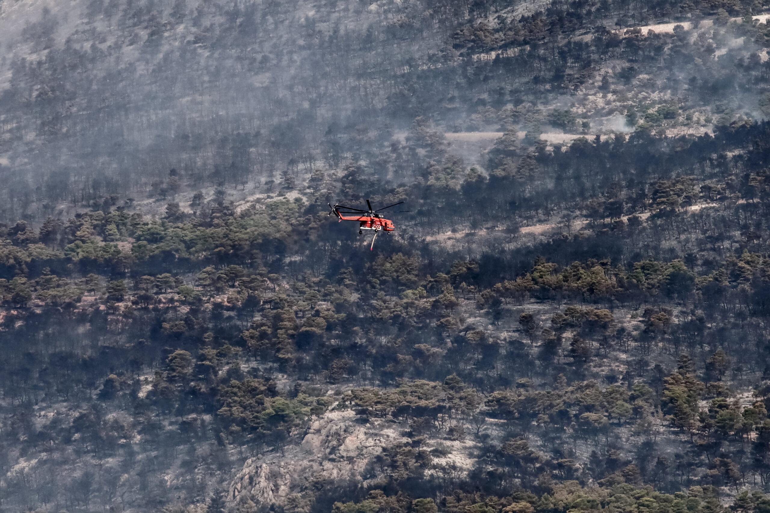 Πάρνηθα: Εικόνες ολικής καταστροφής στον «πνεύμονα» της Αθήνας – Μειώθηκαν τα μέτωπα της φωτιάς