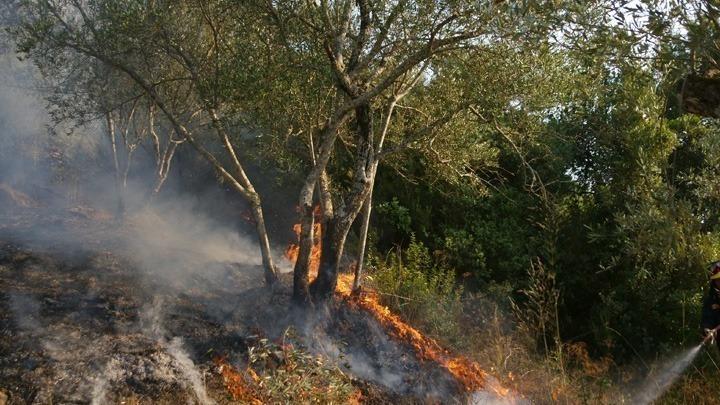 Η κατάσταση στα πύρινα μέτωπα στη Ροδόπη δείχνει βελτίωση