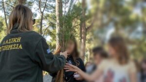 Χαλκιδική: Μαθητές και μαθήτριες φύτεψαν 150 δέντρα στην κατασκήνωση του ΑΠΘ στο Ποσείδι