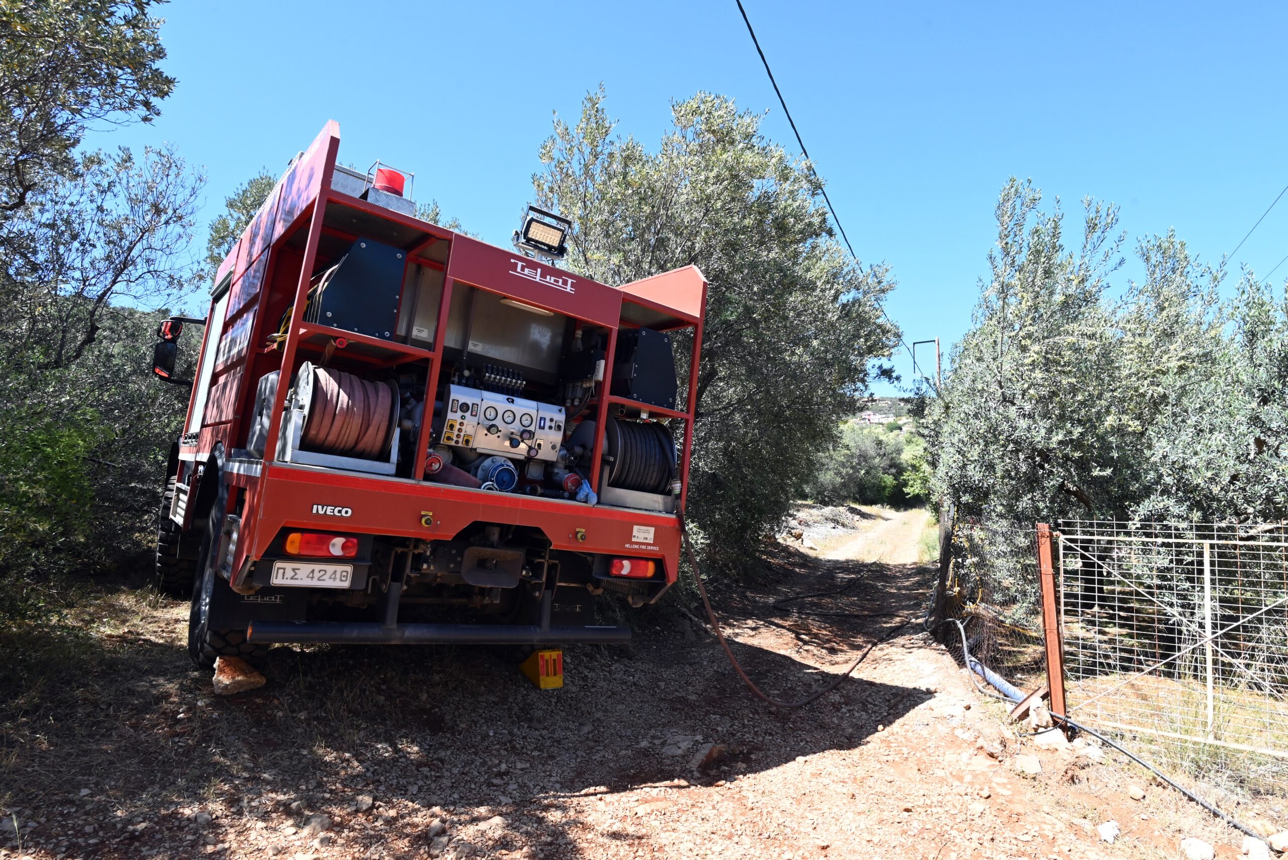 Ιωάννινα: Προφυλακιστέος ο άνδρας που έβαλε φωτιά σε δασική έκταση