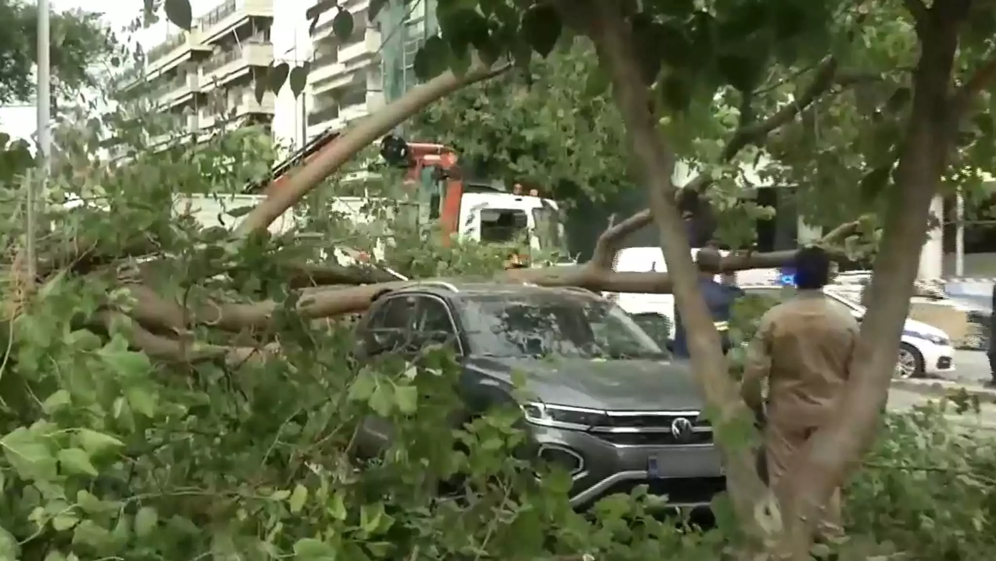 Θεσσαλονίκη: Δέντρο έπεσε πάνω σε ΙΧ στη Δελφών