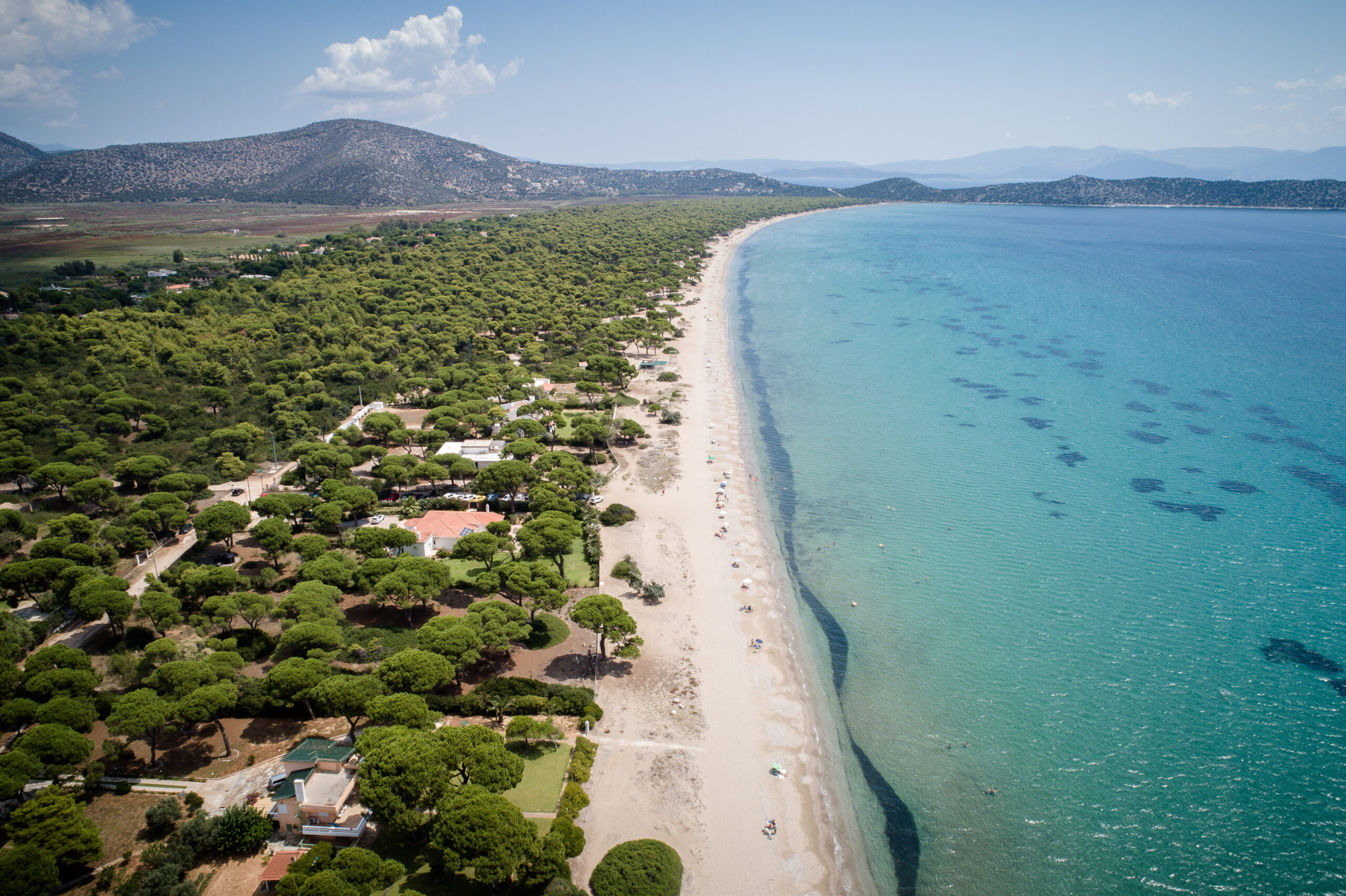 Σχινιάς: Δεν έχει ταυτοποιηθεί η σορός που βρέθηκε στον πάτο της θάλασσας