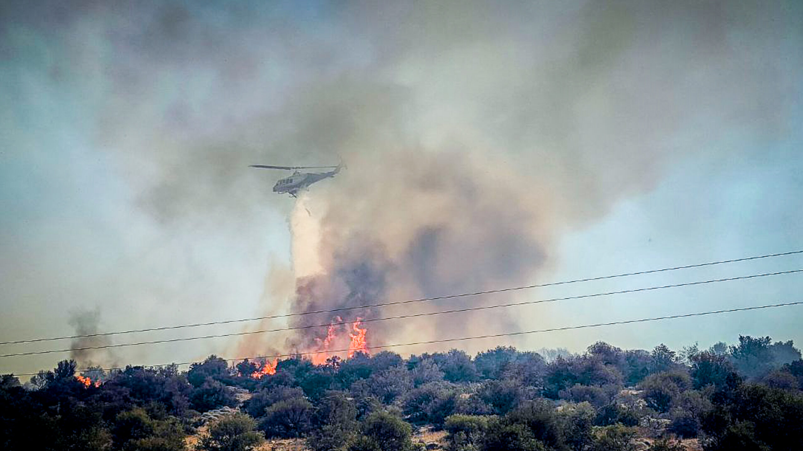 Φωτιά τώρα στην Αλίαρτο | Σηκώθηκαν αεροσκάφος και ελικόπτερο