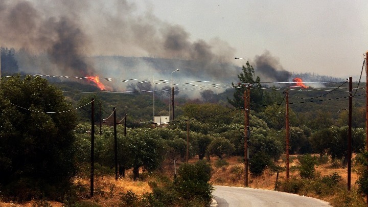 Οριοθετημένη και χωρίς ενεργό μέτωπο η πυρκαγιά σε δασική έκταση στον Ωρωπό – Αποκαταστάθηκε η κυκλοφορία των οχημάτων