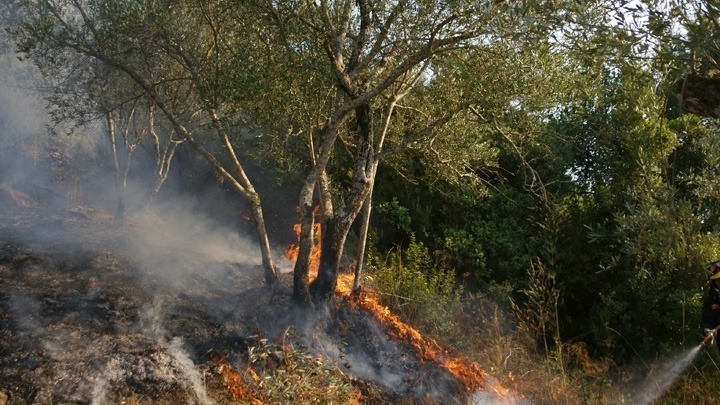 Πυρκαγιά σε χαμηλή βλάστηση στην Βαρυμπόμπη