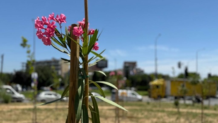 Σε χώρο πρασίνου «μεταμορφώθηκε» μπαζότοπος στη δυτική Θεσσαλονίκη