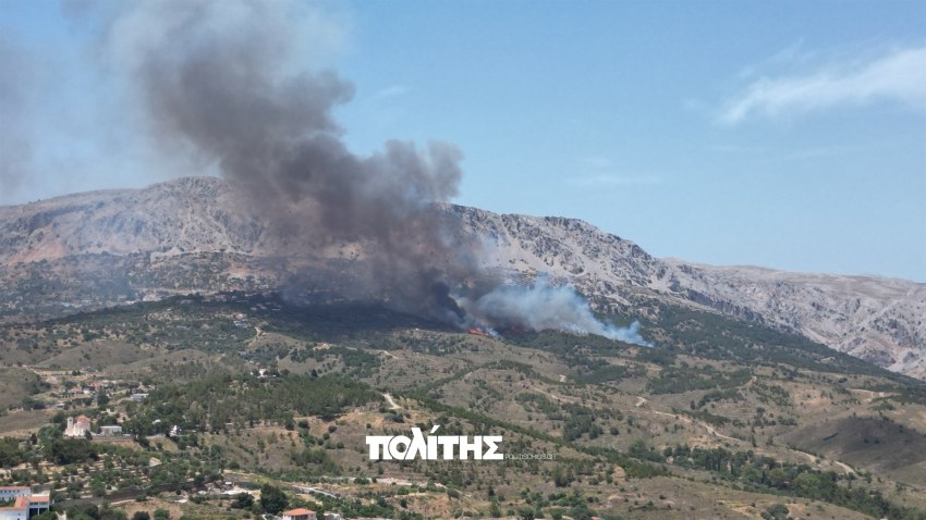 Μεγάλη φωτιά ΤΩΡΑ στη Χίο | Στάλθηκε μήνυμα από το 112