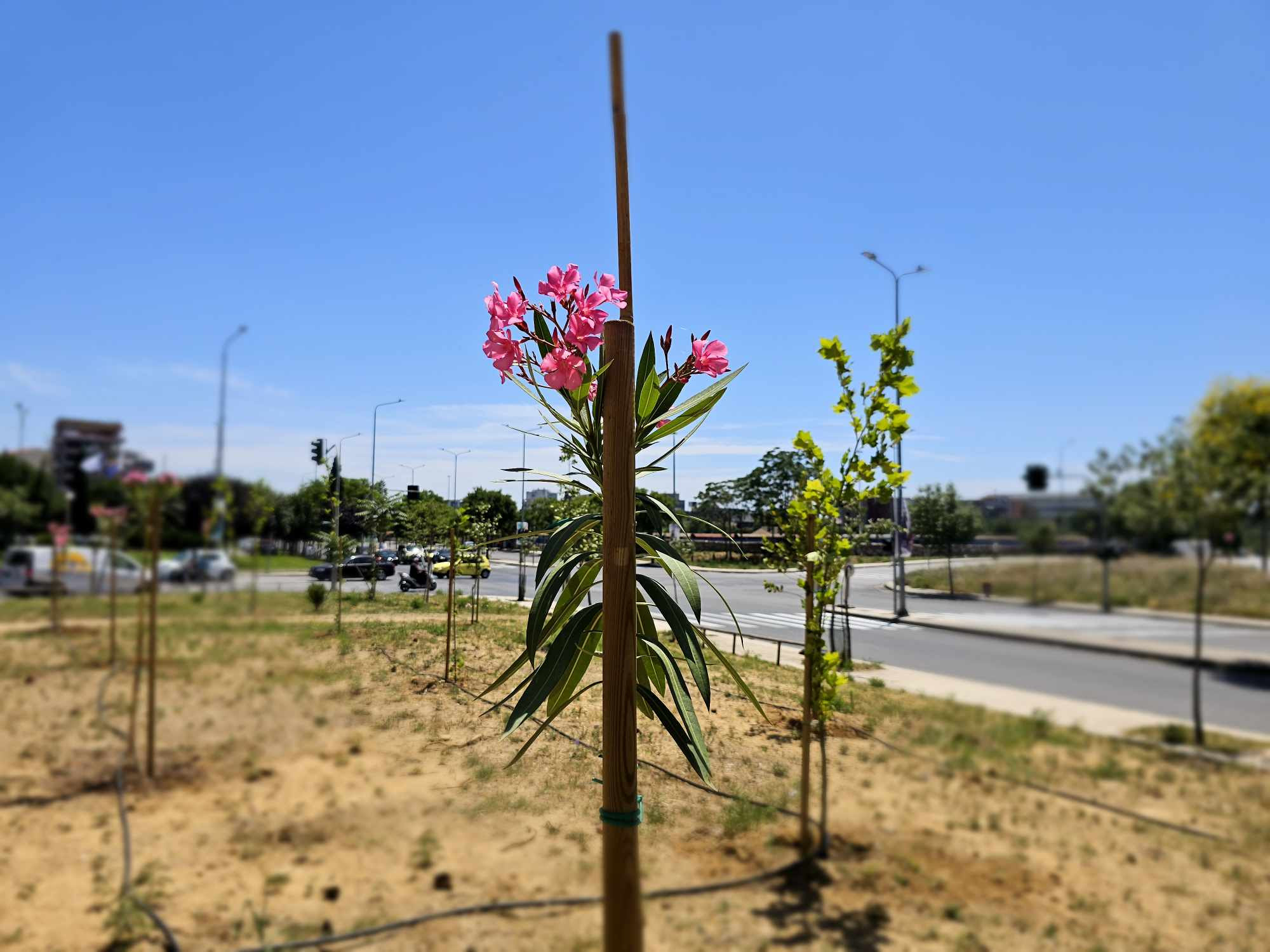 Νέο πνεύμονα πρασίνου στη δυτική είσοδο της πόλης δημιούργησε ο Δήμος Θεσσαλονίκης