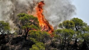 Ενισχύθηκαν οι πυροσβεστικές δυνάμεις στην φωτιά στην Στιμάγκα Κορινθίας