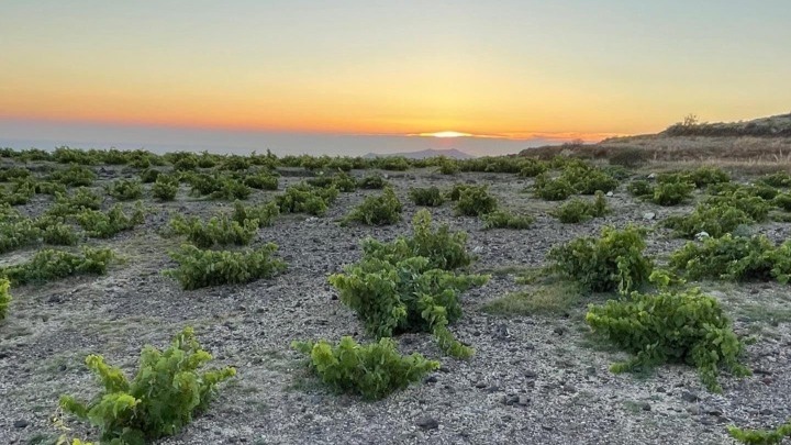 Η αξιοποίηση των περιοχών Natura θα προσδώσει συγκριτικό πλεονέκτημα  και διαφοροποίηση του ελληνικού τουριστικού προϊόντος