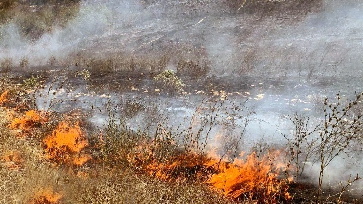 Πυρκαγιά σε αγροτοδασική έκταση στην Στιμάγκα Κορινθίας