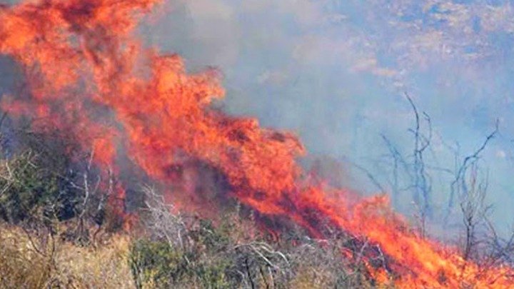 Πυρκαγιά σε χαμηλή βλάστηση στην Ελλοπία Βοιωτίας