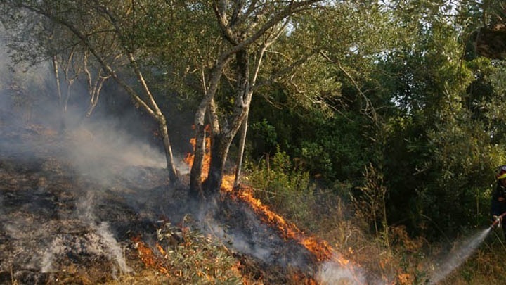 Πυρκαγιά σε χαμηλή βλάστηση στον Ασπρόπυργο