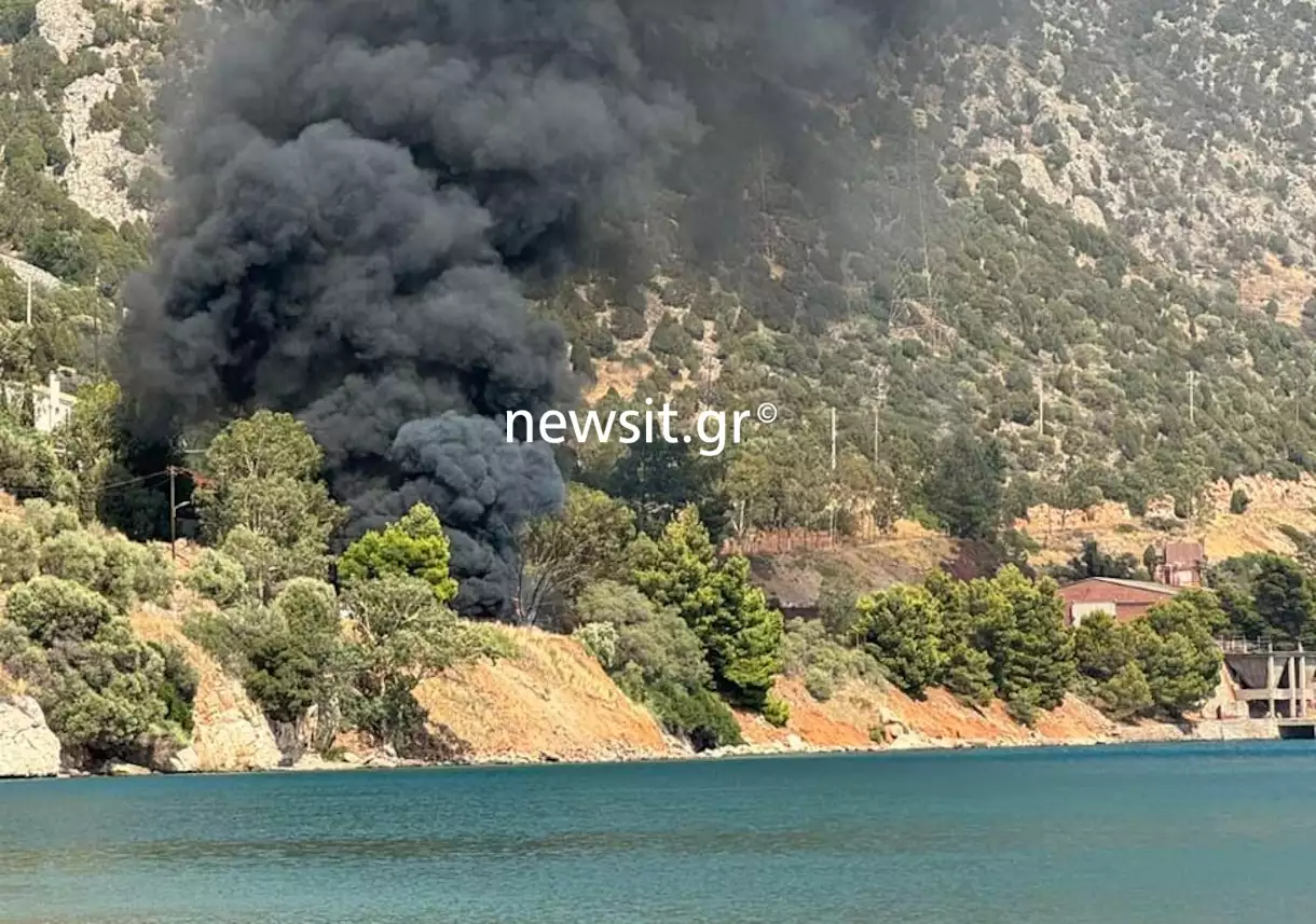 Βοιωτία: Τροχαίο δυστύχημα στα Άσπρα Σπίτια – Φορτηγό έπεσε σε γκρεμό και τυλίχθηκε στις φλόγες (ΒΙΝΤΕΟ)