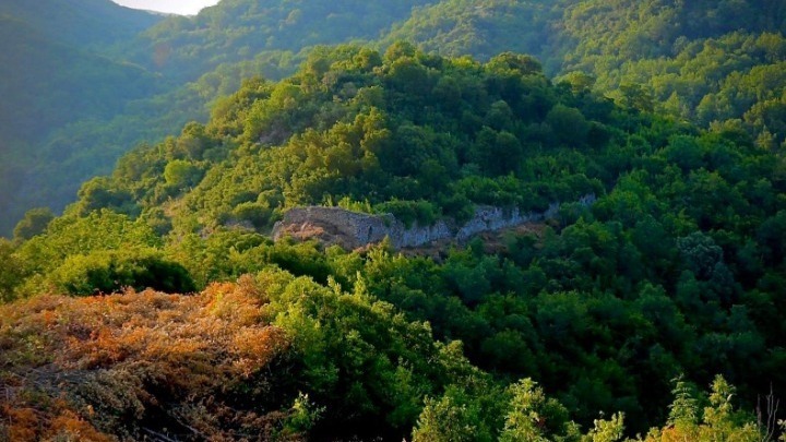 Βελτιωμένη η κατάσταση στα δάση της Χαλκιδικής μέσω έργων καθαρισμού και διανοίξεων