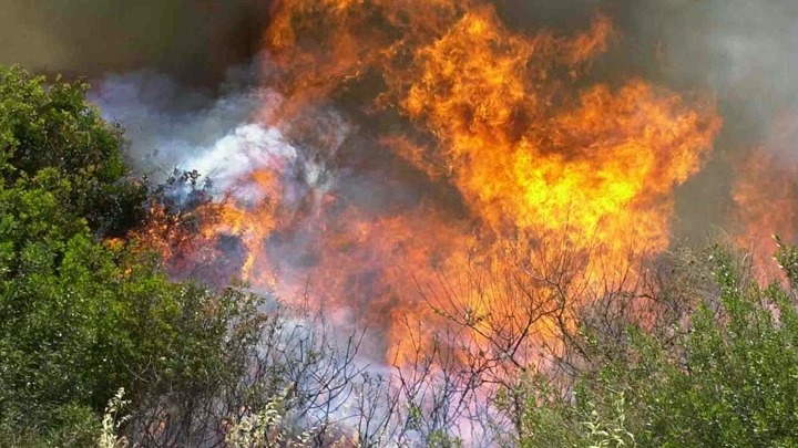 Συναγερμός για πυρκαγιά σε δασική περιοχή στα Ροζενά Κορινθίας