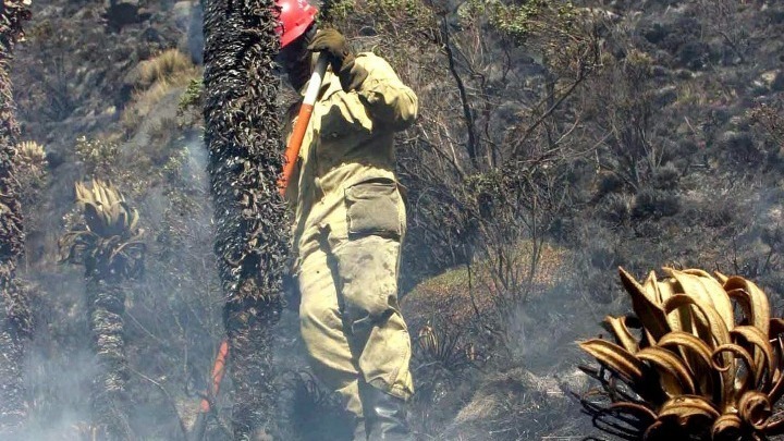 Πυρκαγιές στην Κολομβία: Καταστροφικές φλόγες επηρεάζουν επτά νομούς