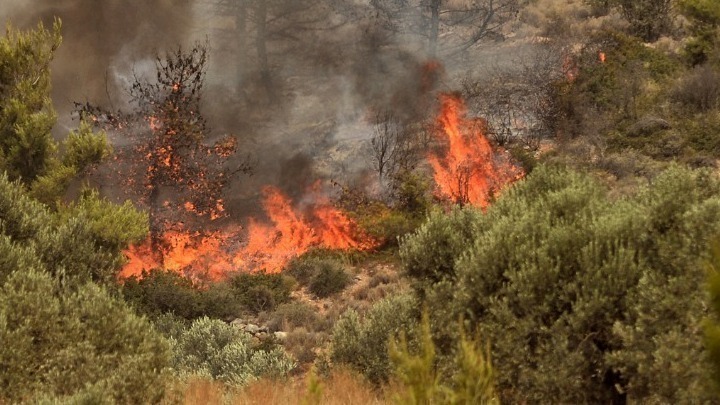 Αυξάνονται οι αγροτοδασικές πυρκαγιές: 51 περιστατικά σε 24 ώρες σε όλη τη χώρα