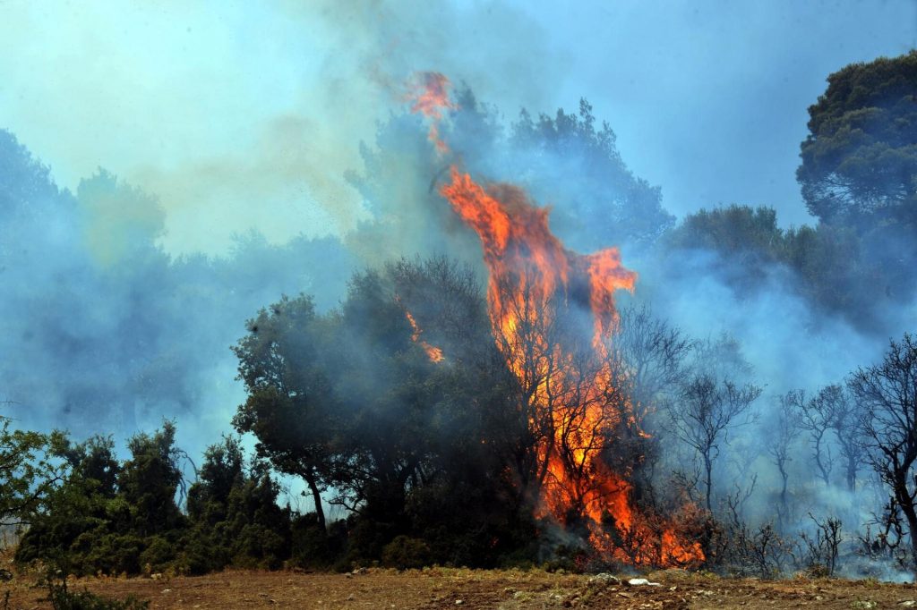 Φωτιά στην Ανδραβίδα: Επιχείρηση κατάσβεσης με 30 πυροσβέστες και 7 εναέρια μέσα