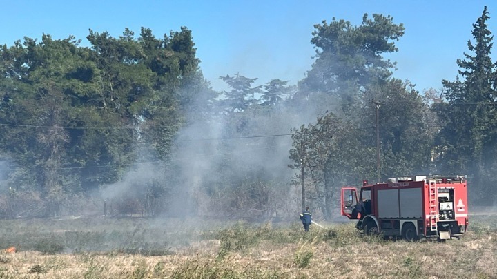 Αμαλιάδα: Οι βροχοπτώσεις ενισχύουν τις προσπάθειες κατά της φωτιάς στο Γεράκι