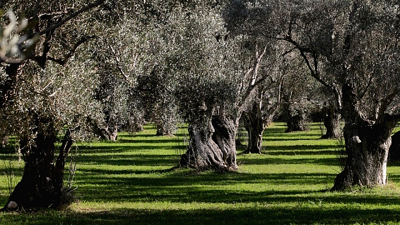 Εναλλακτικός τουρισμός: Μια λύση για τον υπερτουρισμό στη βόρεια Κρήτη