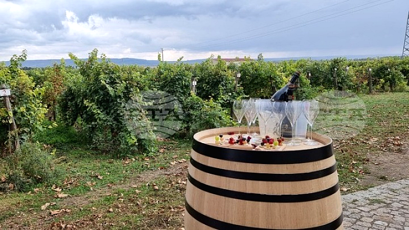 Πλόβντιβ: Η γιορτή του κρασιού Urban Wine Fest 2024