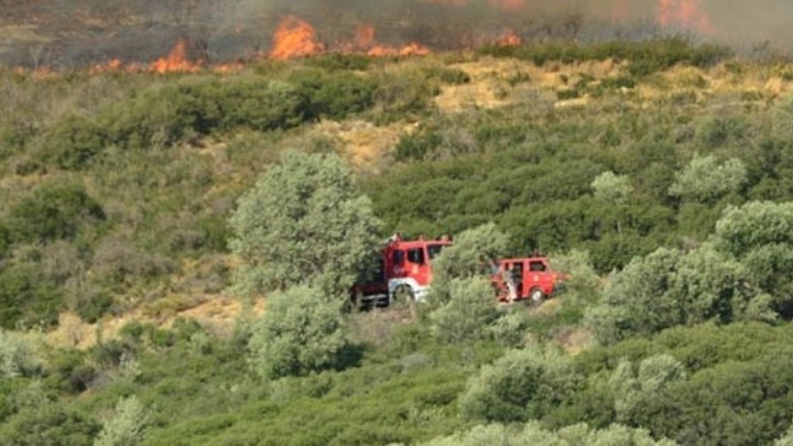 Εκτεταμένη πυρκαγιά στην περιοχή Πλατανίτσα Καλαβρύτων