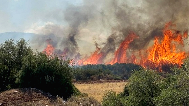 Πυρκαγιά σε εξέλιξη στην Κερατέα: Επιχειρούν 47 πυροσβέστες