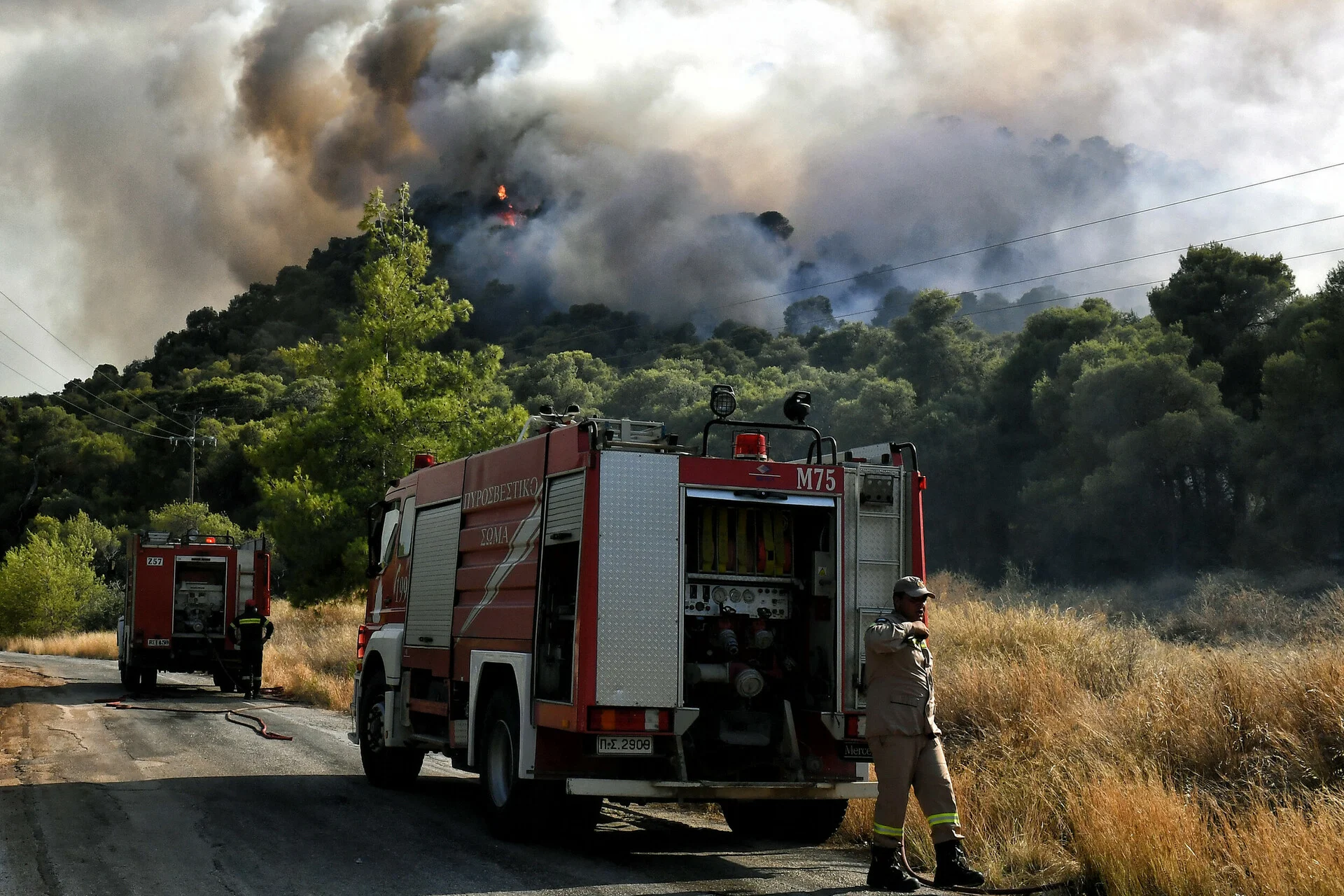 Αντιδήμαρχος και το μελίσσι του στη δίνη της φωτιάς στο Ξυλόκαστρο Κορινθίας