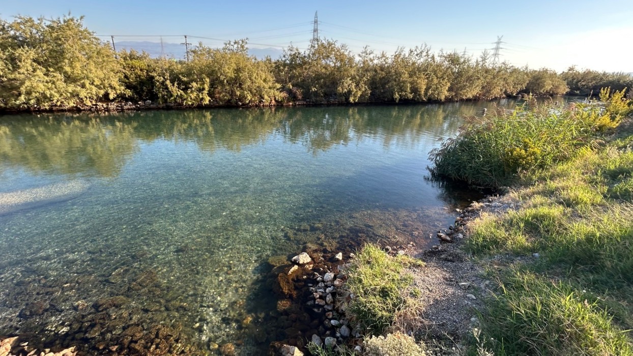 Αίτημα του Δήμου Λαμιέων για την παραχώρηση χρήσης ιαματικών πηγών