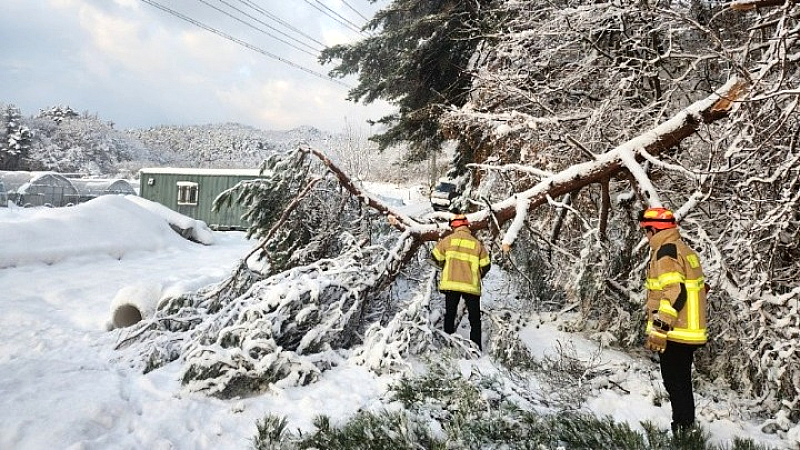 Πέντε θάνατοι στη Νότια Κορέα λόγω ιστορικών χιονοπτώσεων