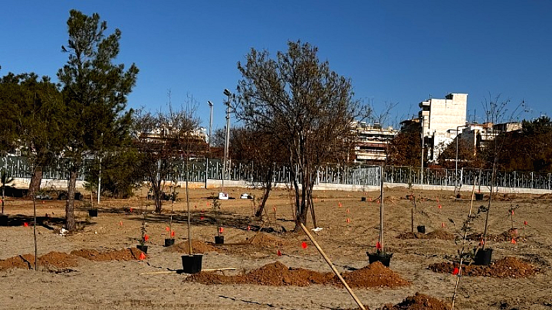 Φύτευση 7.000 δέντρων στο Μητροπολιτικό Πάρκο Παύλου Μελά: Μια νέα αρχή για το πράσινο