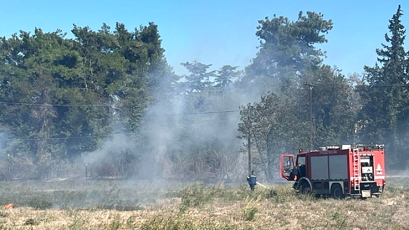 Πυρκαγιά υπό έλεγχο στον Νέο Μαρμαρά Χαλκιδικής