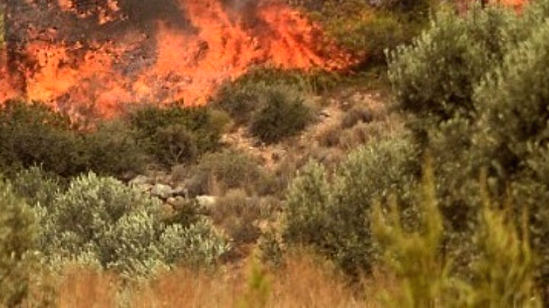 Πυρκαγιά σε χαμηλή βλάστηση στη Νέα Τυρολόη Σερρών κινητοποιεί την πυροσβεστική