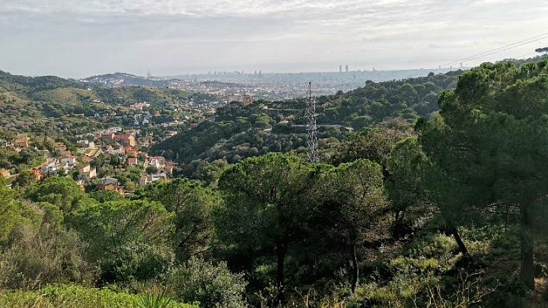 Σημαντικές πρωτοβουλίες για τα δάση της Μεσογείου στην 8η Μεσογειακή Εβδομάδα Δασών