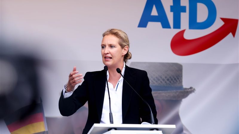 Κέρδη για το AfD μετά την κατάρρευση της συγκυβέρνησης;