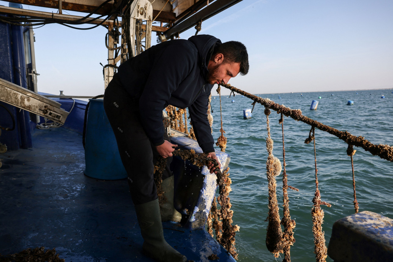 Τι θα αποσυρθεί από τον κατάλογο στην Ελλάδα; Η κλιματική αλλαγή θέτει σε κίνδυνο την τροφοδοσία τροφίμων