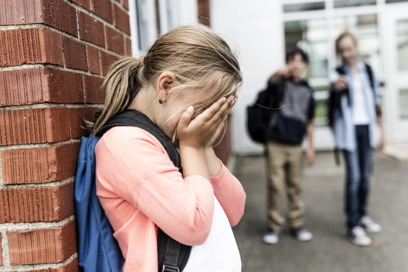 Κόνιτσα: Στη δημοσιότητα περιστατικό bullying με θύμα 12χρονη