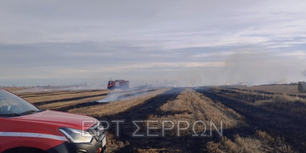 Σέρρες: Ενίσχυση της πυροσβεστικής για κατάσβεση φωτιάς σε καλλιεργήσιμες εκτάσεις