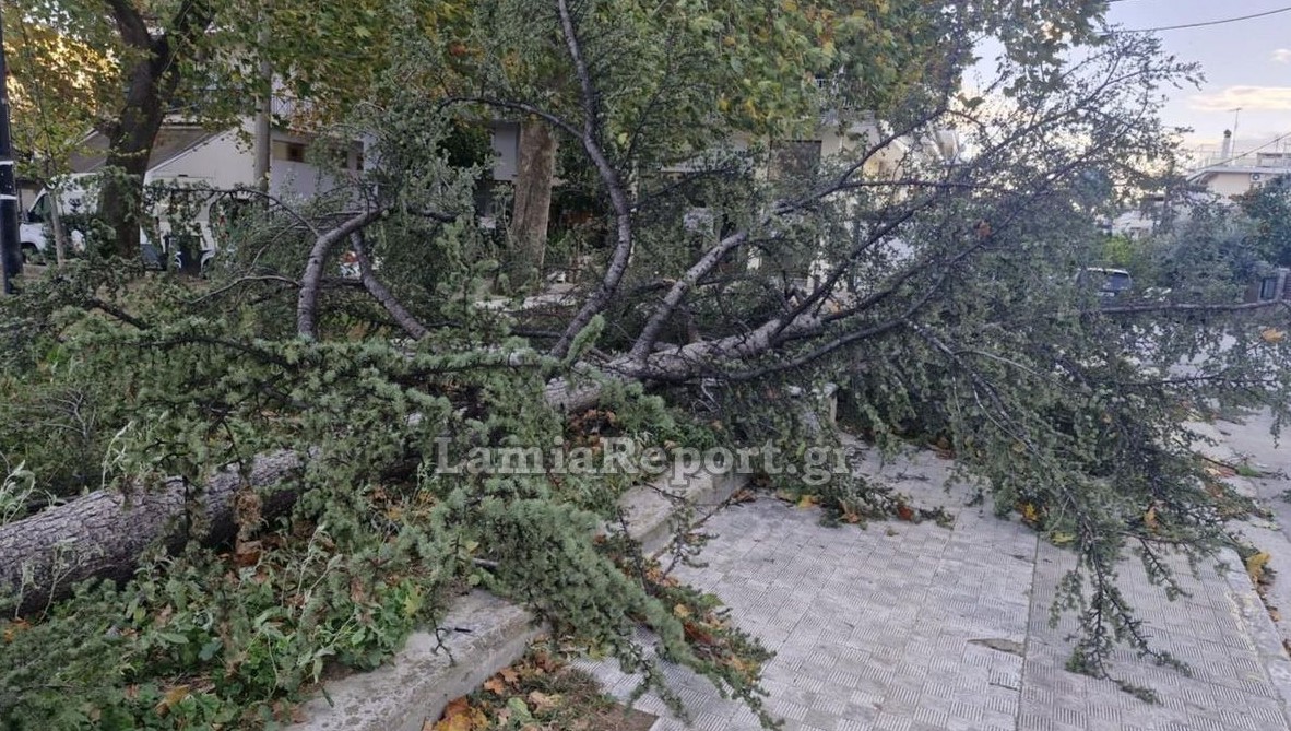 Φθιώτιδα: Ισχυροί άνεμοι προκαλούν σοβαρές ζημιές στη Λαμία και σε σκάφη