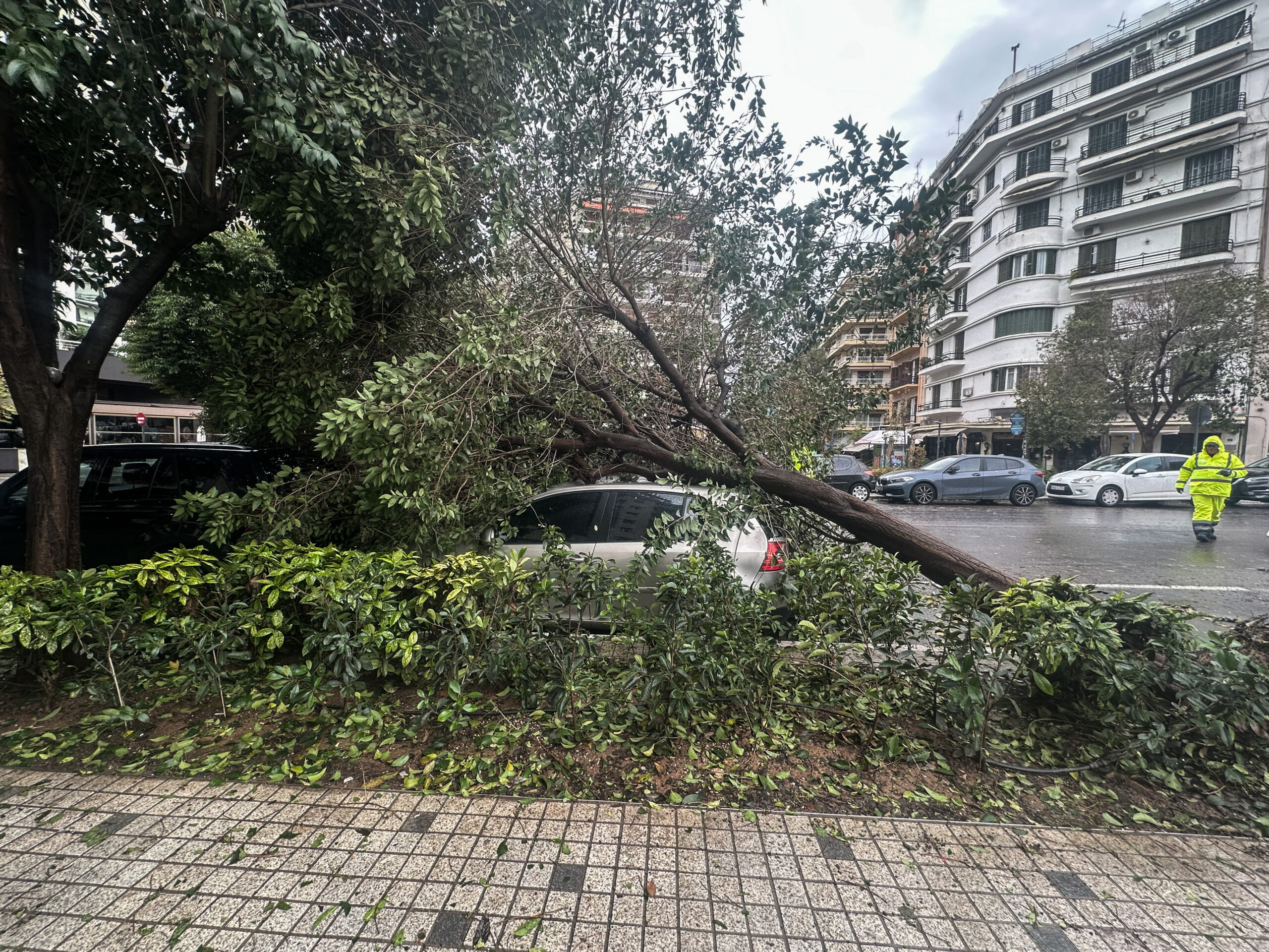 Θεσσαλονίκη: Κλειστό το ένα ρεύμα της λεωφόρου Καραμανλή – Έγειραν δέντρα