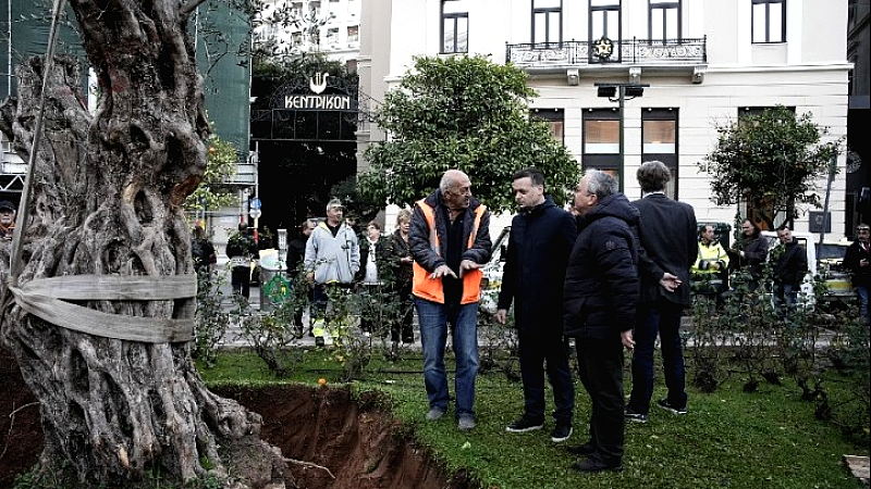 Συμβολική φύτευση υπεραιωνόβιας ελιάς από τον δήμο Αθηναίων στην Παλαιά Βουλή