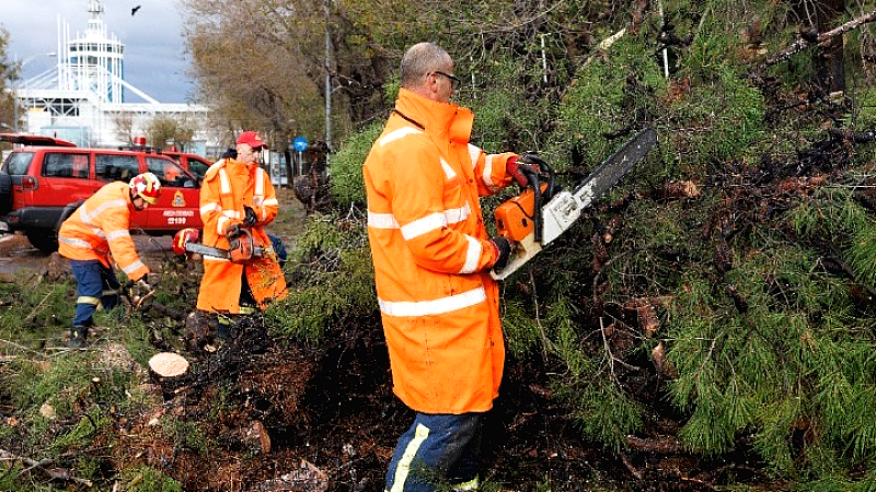 ΔΕΔΔΗΕ: Επανέρχεται η ηλεκτροδότηση στη Θεσσαλονίκη και τη Χαλκιδική μετά την κακοκαιρία Bora