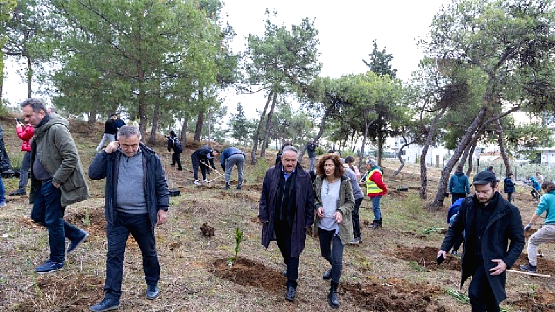 Φύτευση 1.000 νέων δέντρων στην Τριανδρία για μια πιο πράσινη Θεσσαλονίκη